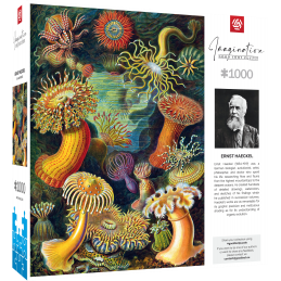 PUZZLE ERNST HAECKEL...