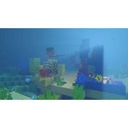 NS2 MINECRAFT