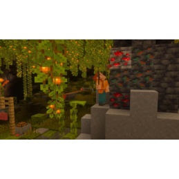 NS2 MINECRAFT